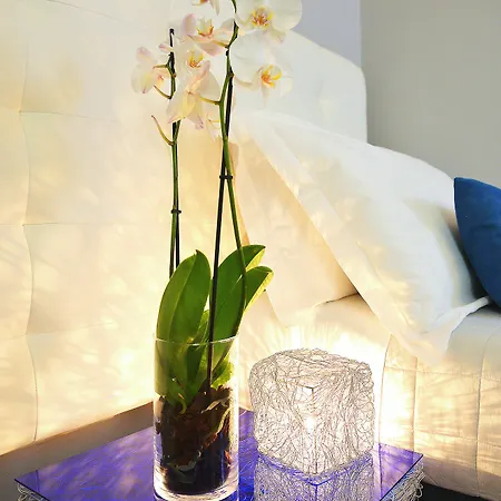 B-cool (adults Only) Rome