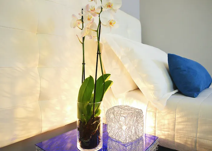 B-cool (adults Only) Roma